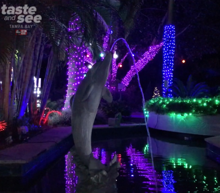 PHOTOS Christmas lights at the Florida Botanical Gardens in Largo